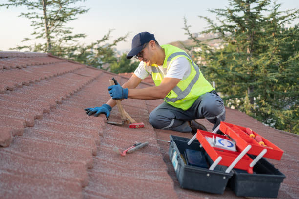 Best Roof Repair Services  in De Queen, AR