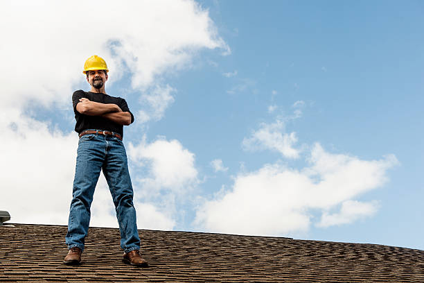 Best Roof Gutter Cleaning  in De Queen, AR